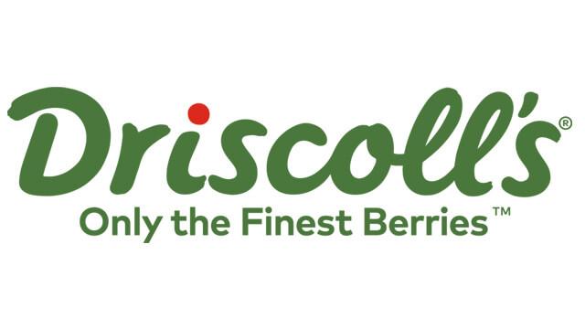 Driscoll's Logo